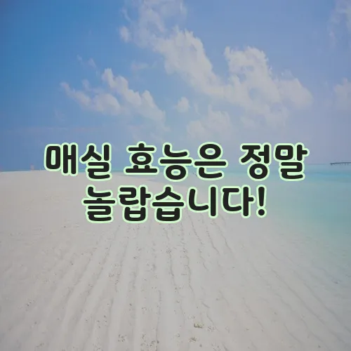 매실 효능은 정말 놀랍습니다!