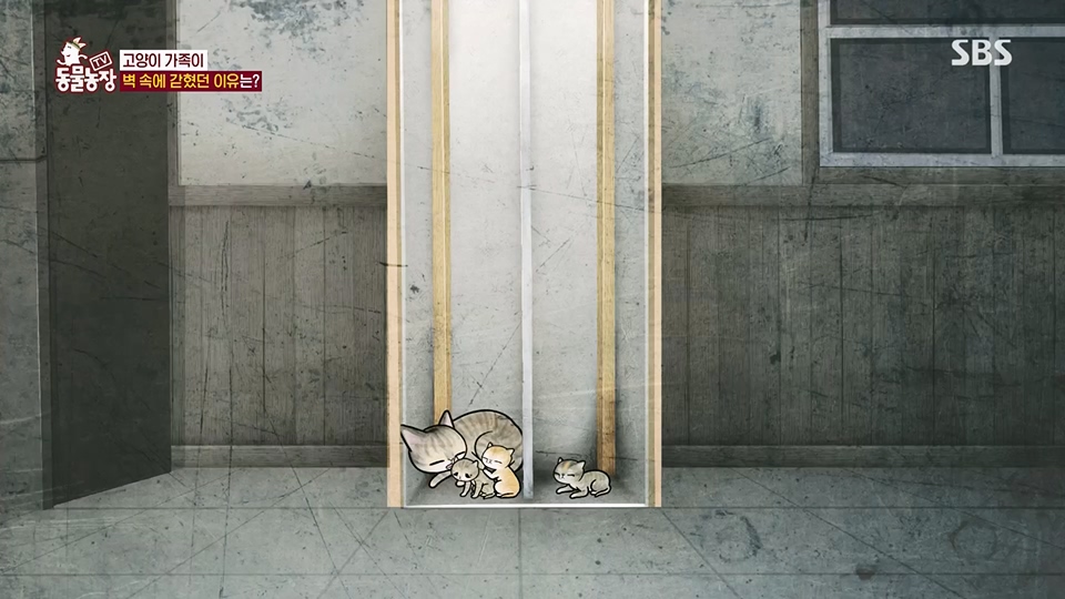 TV 동물농장.E1124.230611p.H264-F1RST.mp4_20230611_173549.259.jpg