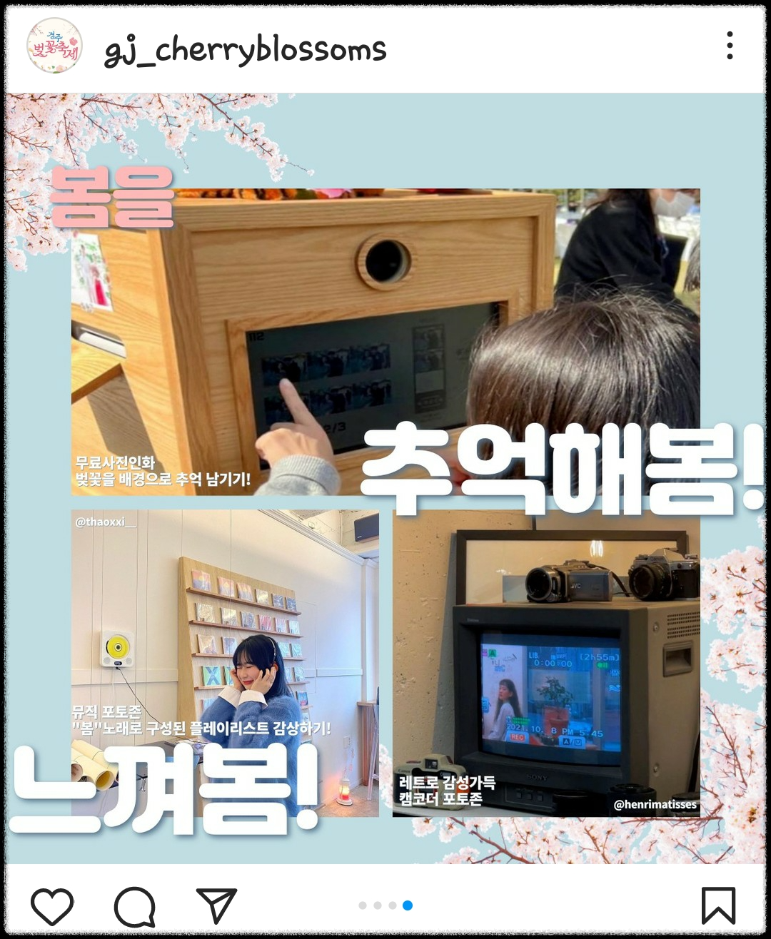 경주-벚꽃-축제
