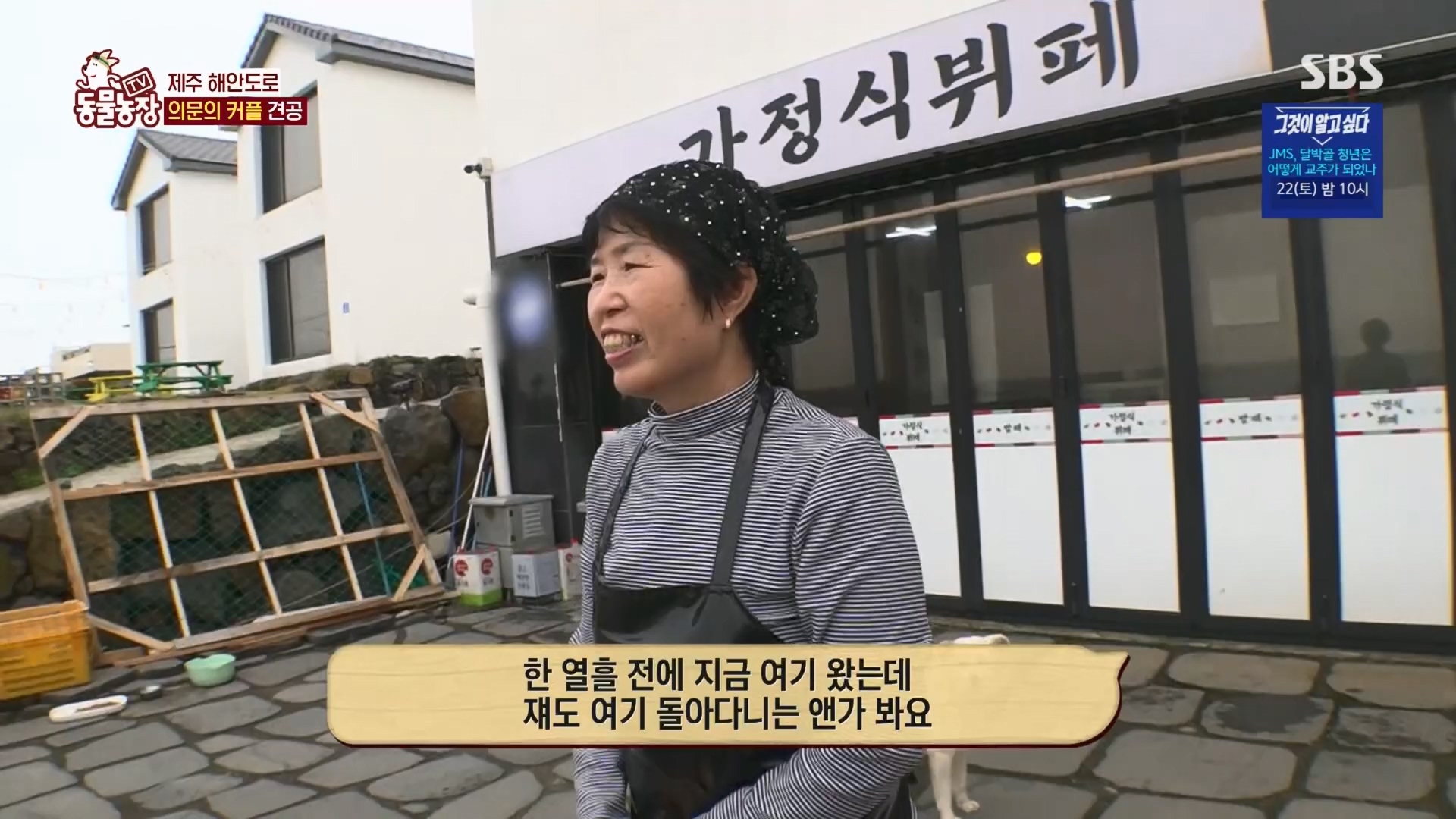 TV 동물농장.E1116.230416p.H264-F1RST.mp4_20230418_194159.907.jpg