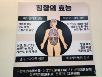 베트남 침향 아가골드 아가로얄 가격 효능_11