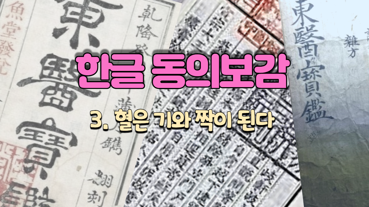  3. 혈(血)은 기(氣)와 짝이 된다 ( 내경편 혈 )
