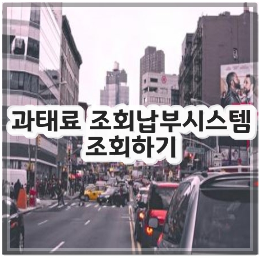 과태료 조회납부시스템 조회하기