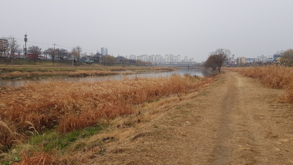 고향국밥 이미지