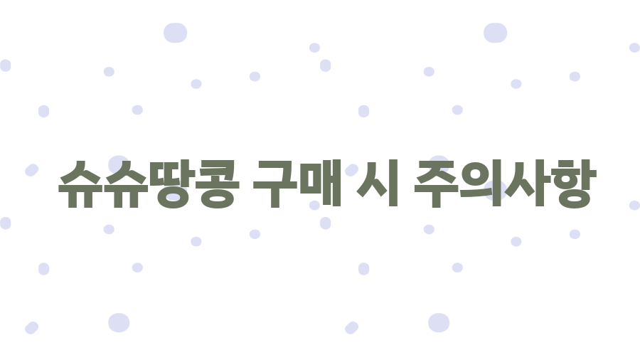 나트랑 슈슈땅콩 맛집탐험! 30가지 맛, 당신의 선택은? - 슈슈땅콩 구매 시 주의사항 나트랑 슈슈땅콩 맛집탐험! 30가지 맛, 당신의 선택은? - 슈슈땅콩 구매 시 주의사항