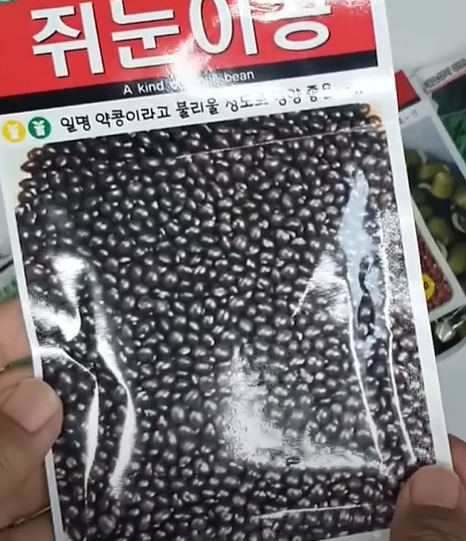 쥐눈이콩 &ndash; 약콩으로 불리는 건강식품
