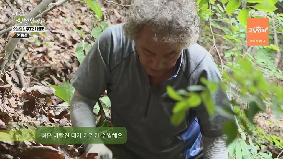 나는 자연인이다.E562.230712p.H264-F1RST.mp4_20230713_204724.303.jpg