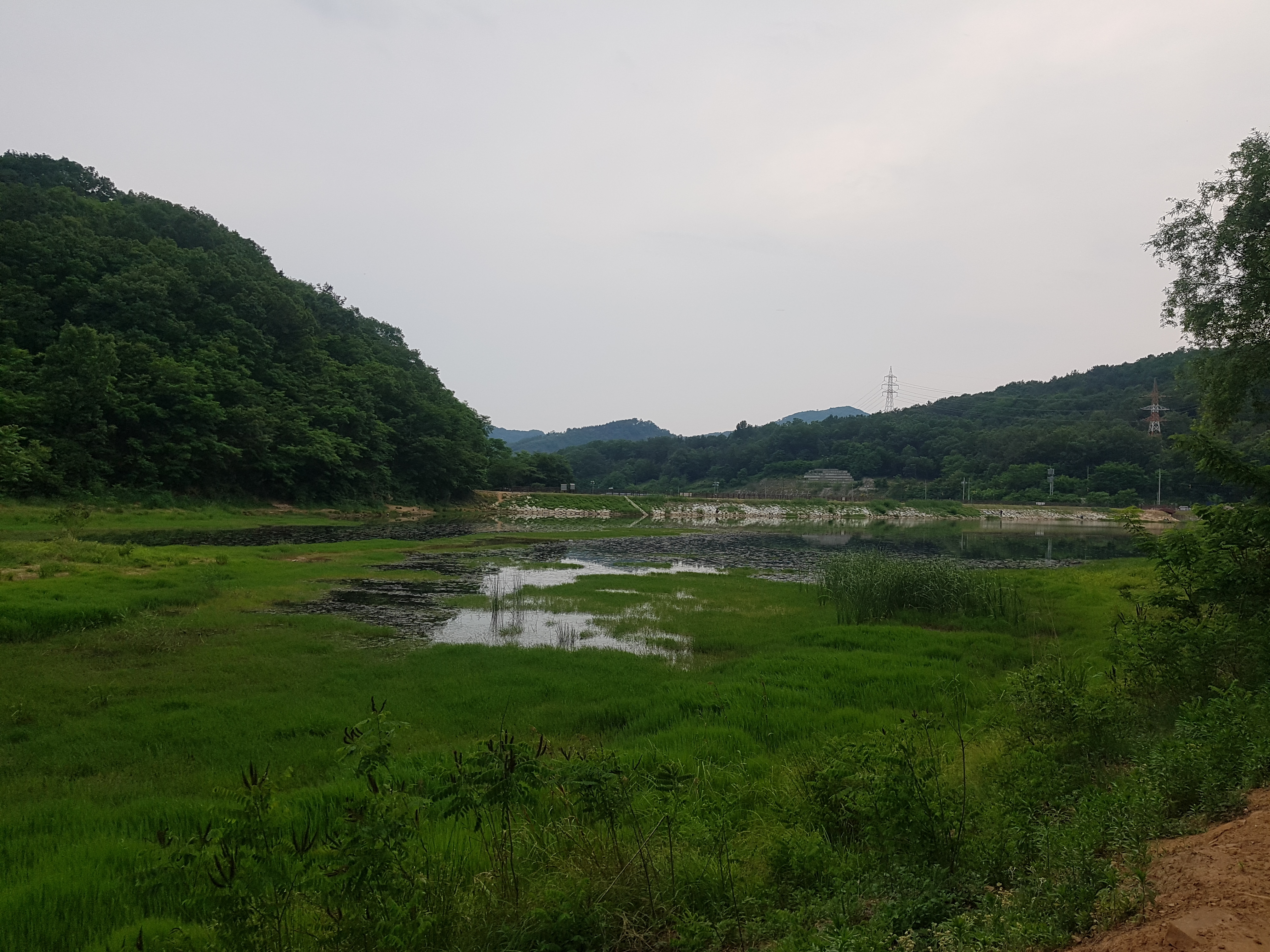  대구 근교, 대구 북구 가볼만한 곳, 산책 - 칠곡 서리지 수변생태공원