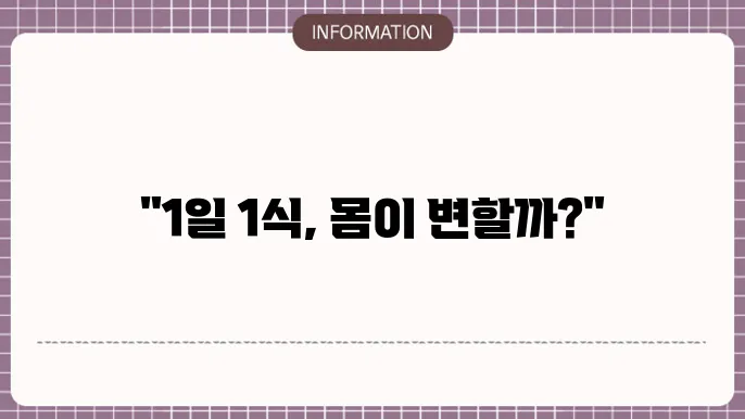 1일 1식 다이어트 실행 방법