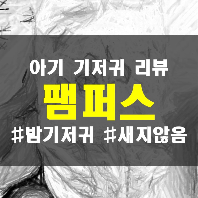  아기밤귀저기 대표 팸퍼스 사용 리뷰 : 팸퍼스 베이비드라이 팬티