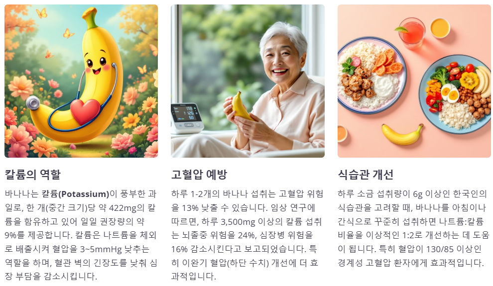 혈압조절 심혈관 건강 개선