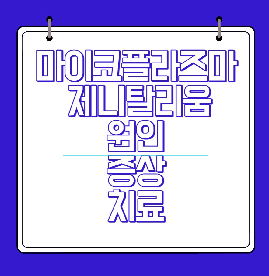  마이코플라즈마 제니탈리움 원인과 증상 및 치료