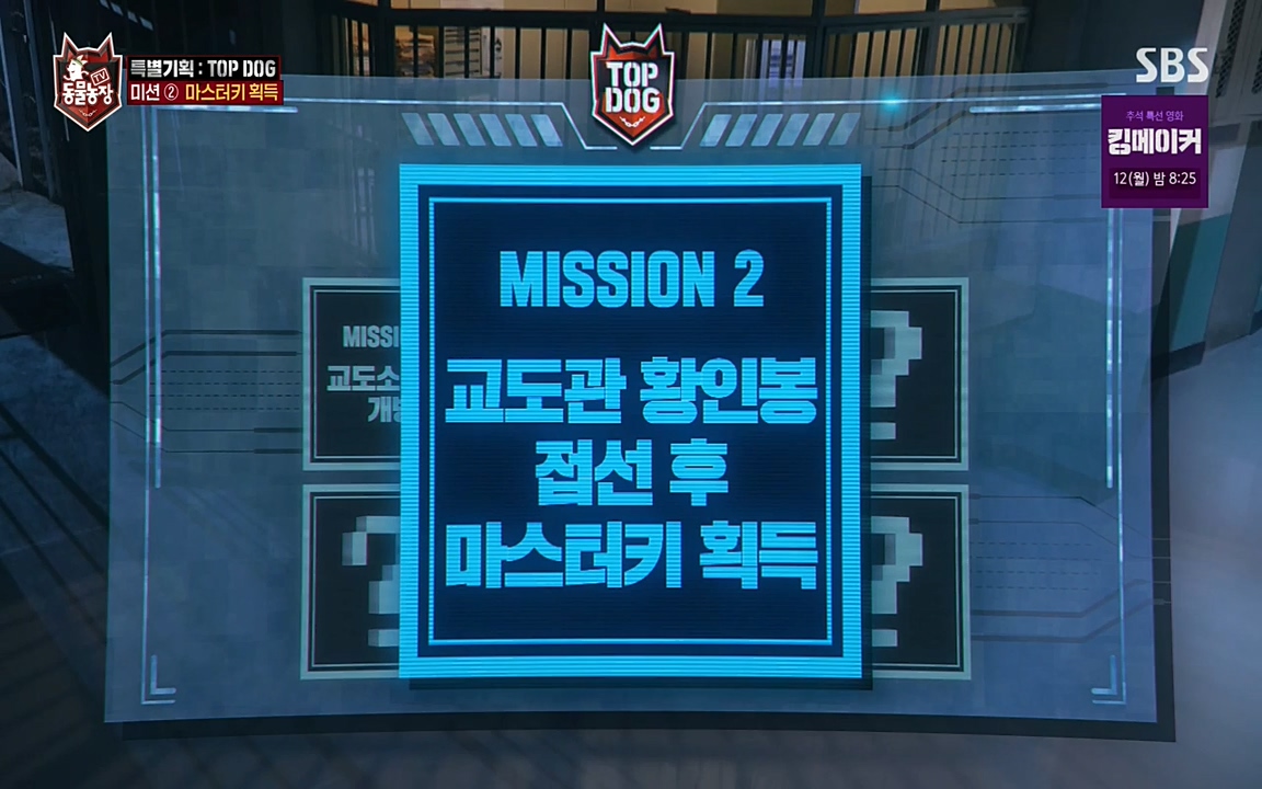 TV 동물농장.E1085.220905p-NEXT.mp4_20220904_173111.266.jpg