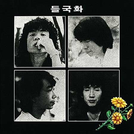 들국화 이미지