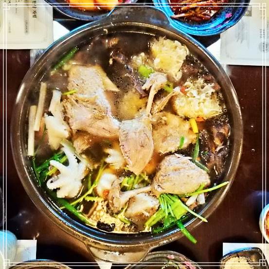  TJB 생방송 투데이 능이오리백숙 세종 보람동 204회 네모세모 능이 해신탕, 능이한방보쌈 맛집 위치