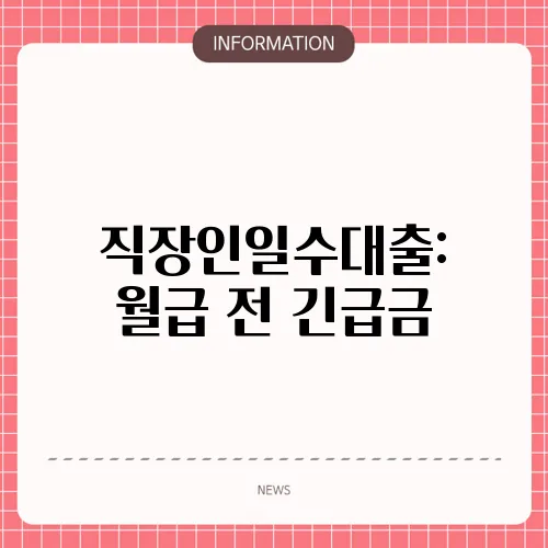직장인일수대출: 월급 전 긴급금