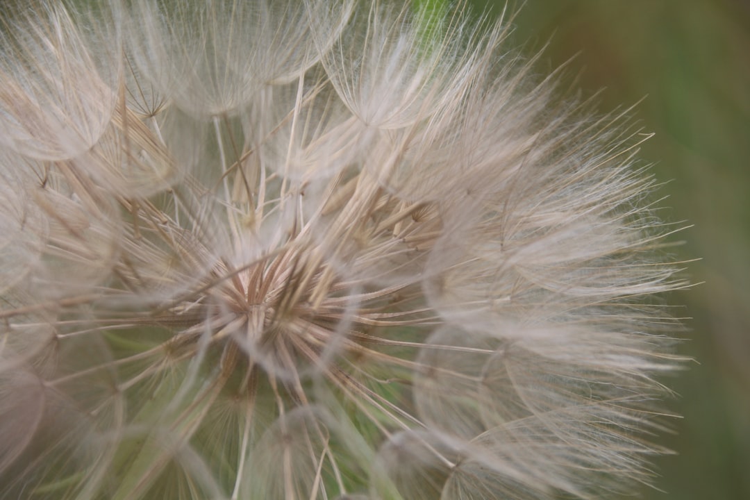 '복잡성' (Complexity)
