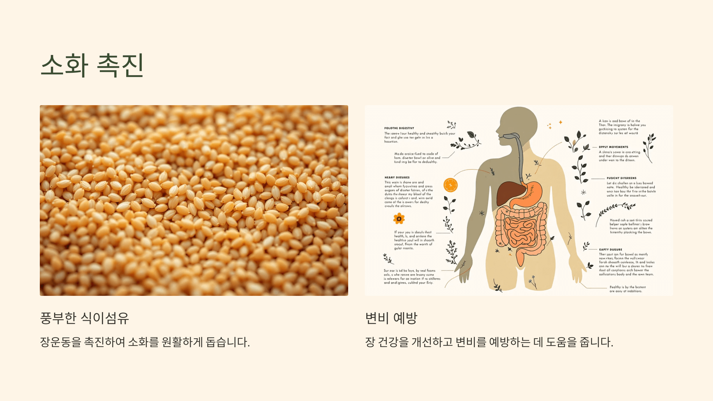 파로 곡물 사진입니다.