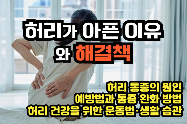 허리가 아픈 이유 - 썸네일