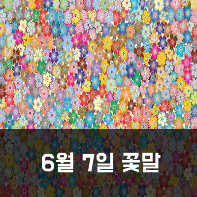  6월7일 탄생화