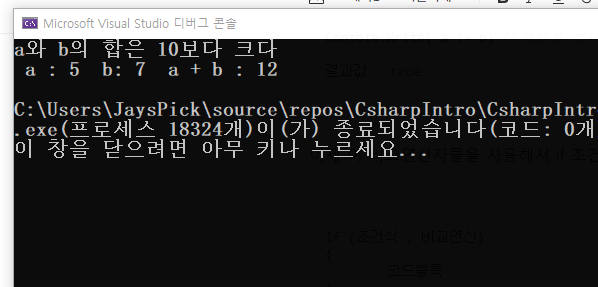  C# 코딩 기초 8 조건문 if, if else, switch case (Conditional Statement)
