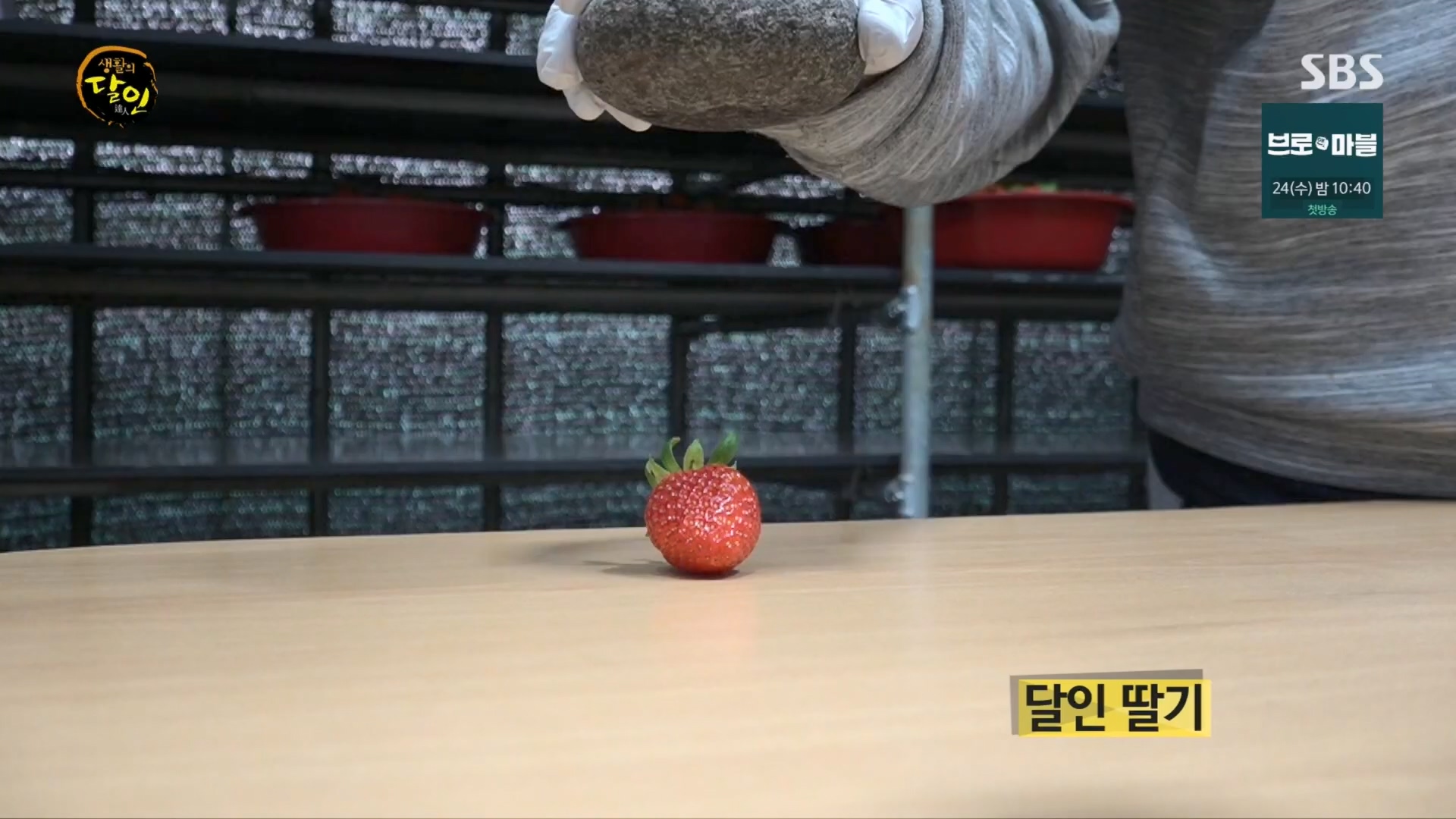 생활의 달인.E920.240122p.H264-F1RST.mp4_20240123_192920.468.jpg