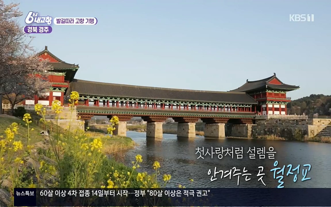 6시 내고향.E7510.220414p.H264-F1RST.mp4_20220419_185408.192.jpg
