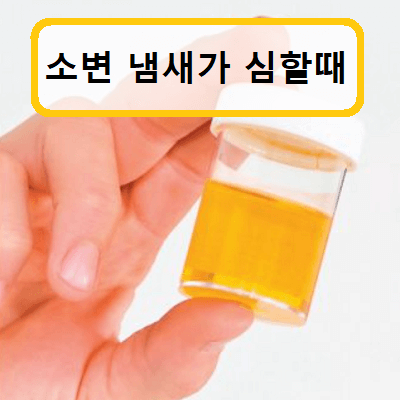 소변-냄새가-심할때-원인