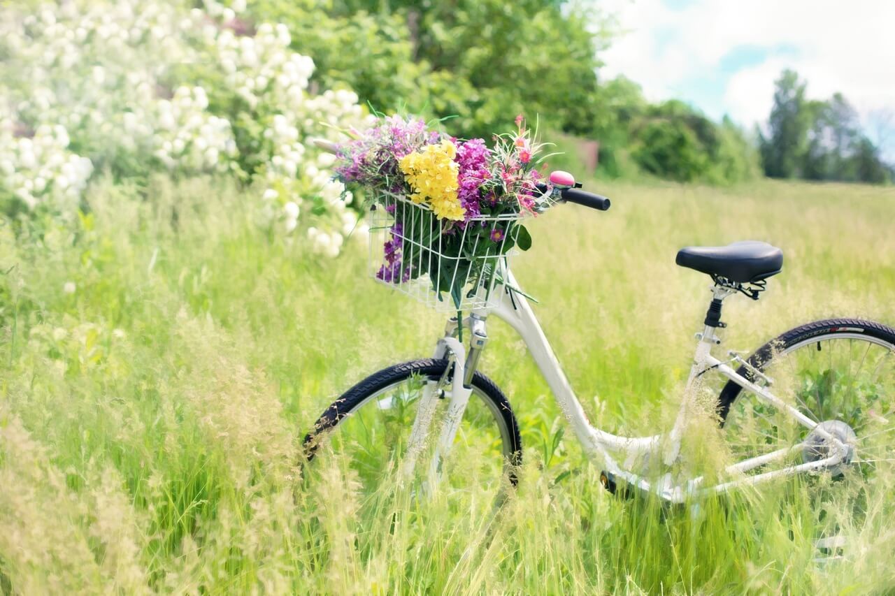 꽃밭에-세워진-자전거