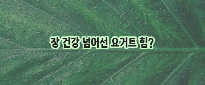요거트 유산균 효능 7가지 꼭 알아야겠죠?