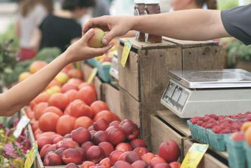 시장에서-소비자가-사과를- 산다