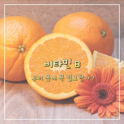 비타민B_오렌지
