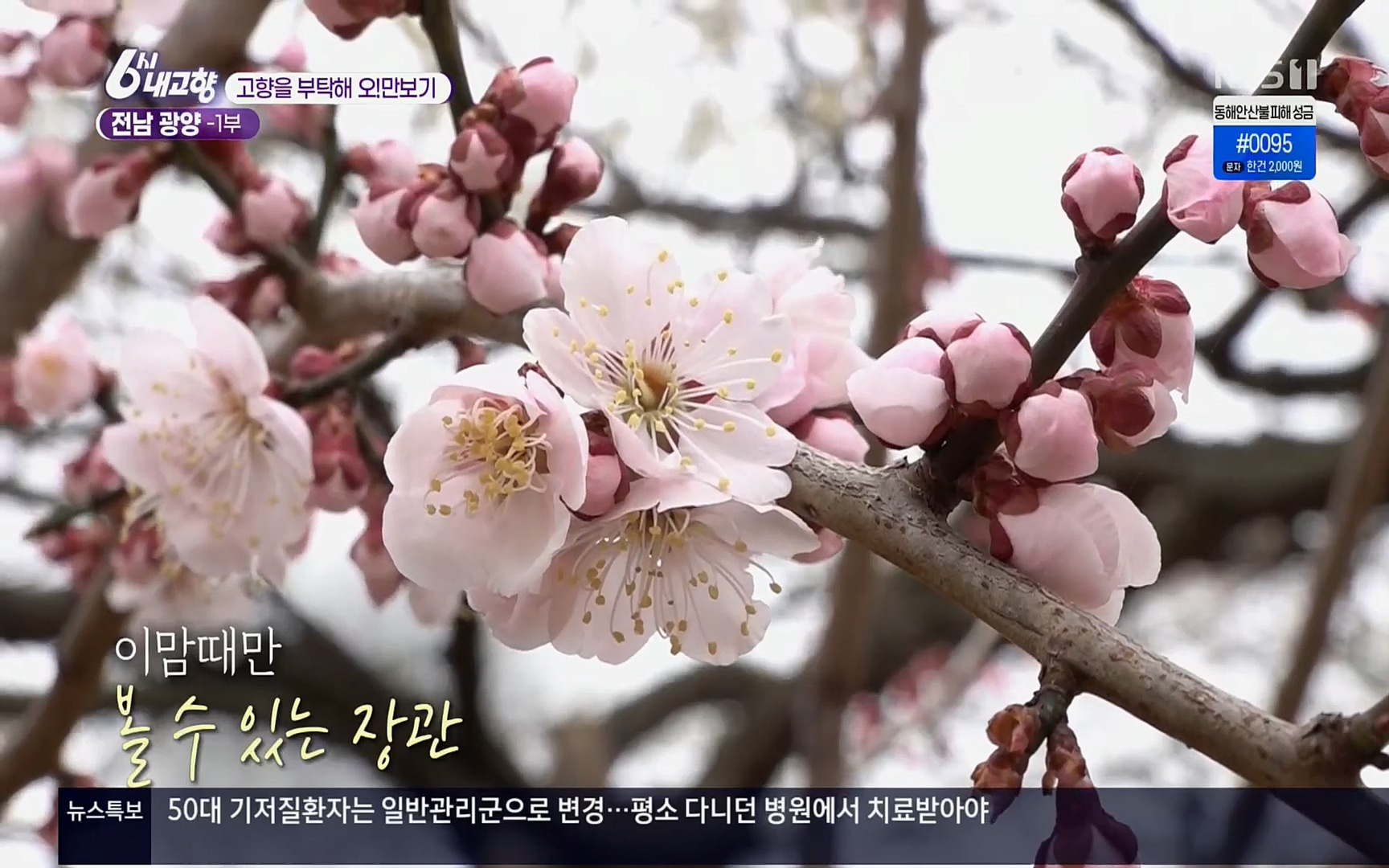 6시 내고향.E7494.220322p.H264-F1RST.mp4_20220326_174745.027.jpg