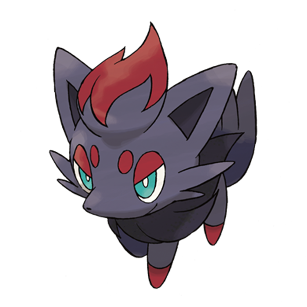  [포켓몬도감]  No. 570 조로아 Zorua #570