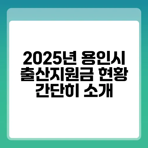2025년 용인시 출산지원금 현황 간단히 소개