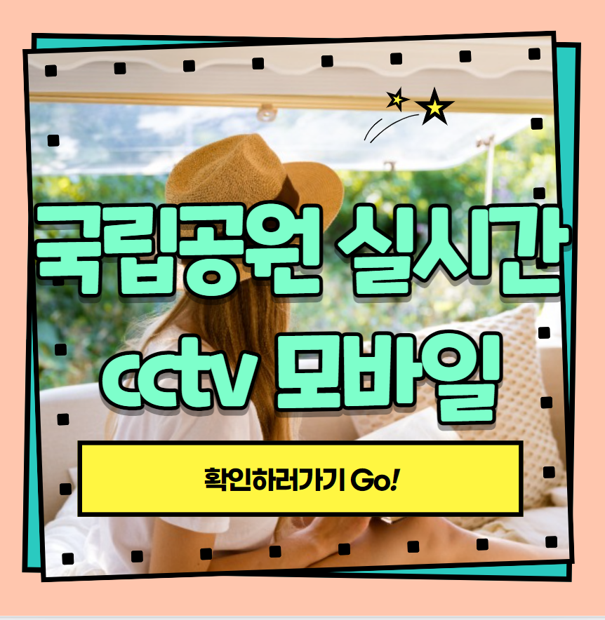  국립공원 실시간 cctv (실시간 cctv보기)
