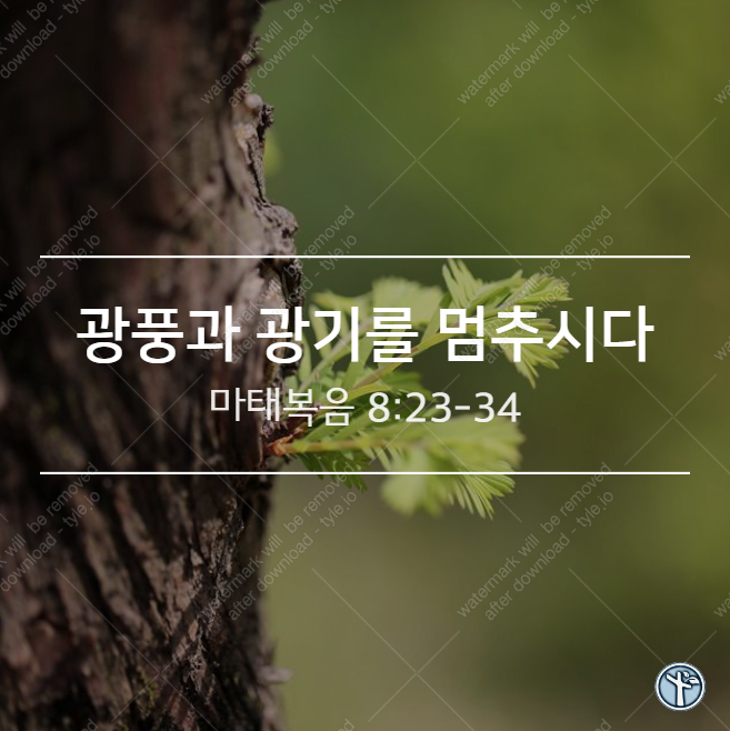  광풍과 광기를 멈추시다 / 마8:23-34