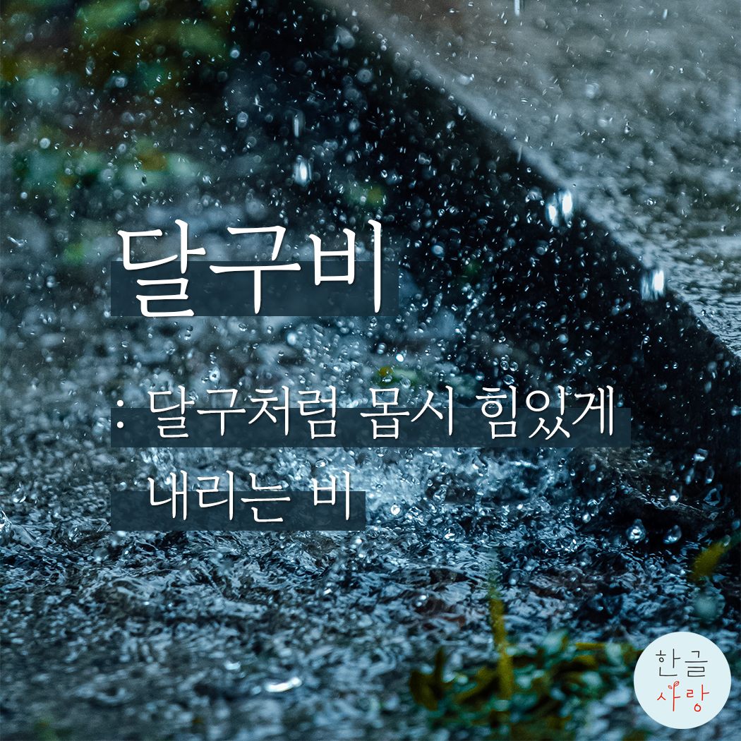  '비'를 표현하는 순수한 우리말을 알아봅시다.