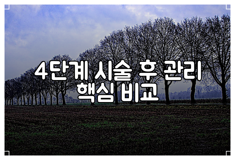 4단계 시술 후 관리 핵심 비교
