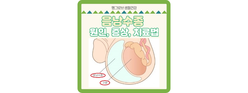음낭수종 썸네일