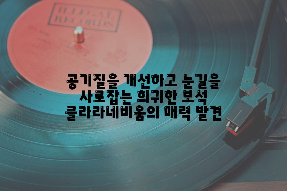 공기질을 개선하고 눈길을 사로잡는 희귀한 보석 클라라네비움의 매력 발견