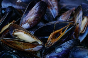 Moules-Frites