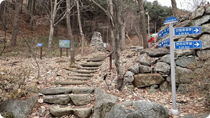돌계단이 보인다