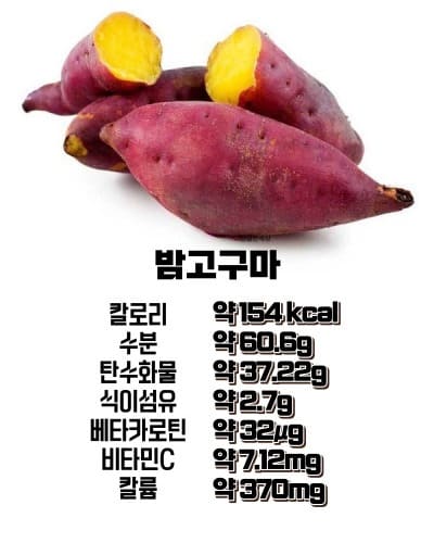 밤고구마 영양소