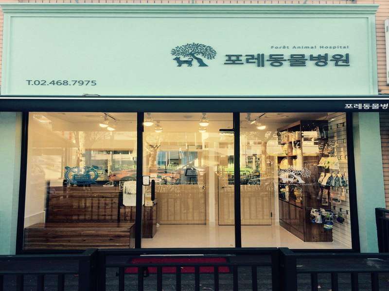 2호선 성수역 애견미용 잘하는 곳 BEST4 | 예약하기 | 후기 확인하기 | 할인 정보 | 위치 안내 | 베스트 추천 총정리 - 3. 포레동물병원 - 3.1 전문적인 의료 서비스 3.1 전문적인 의료 서비스