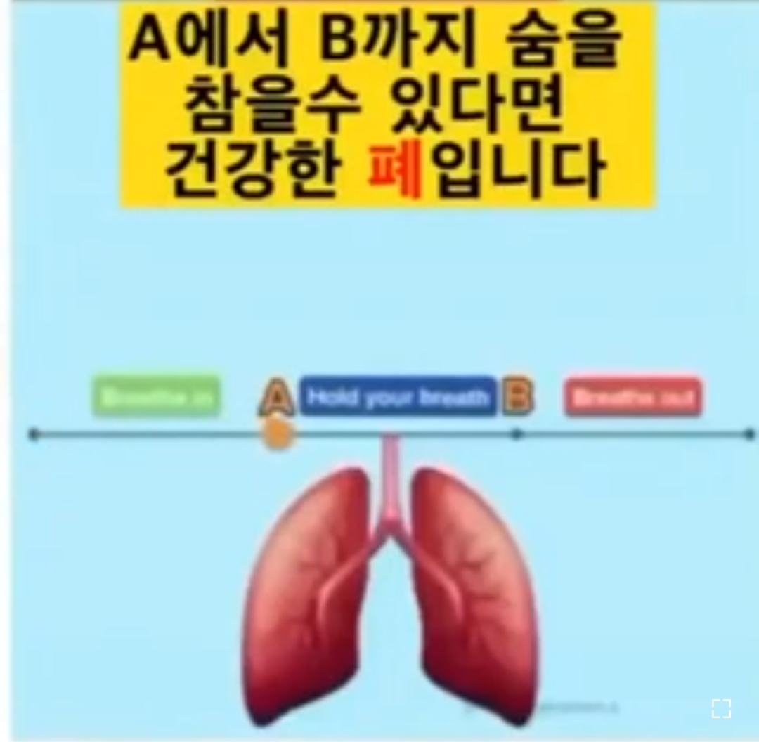  폐활량 테스트