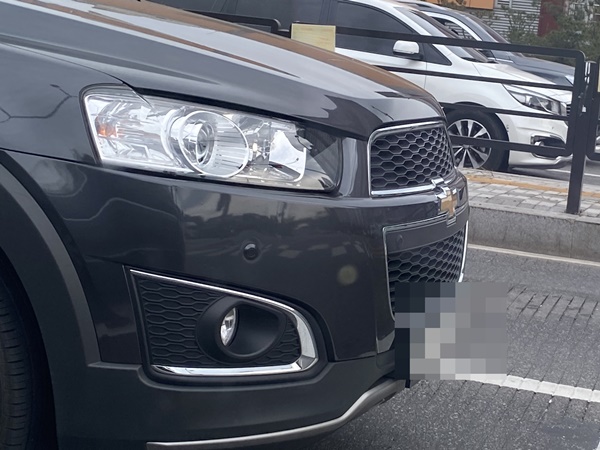 확인하시고 결정해주세요. 5등급 차량 조회 3