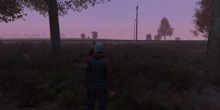  DayZ 공략 데이즈 가이드 팁 게임