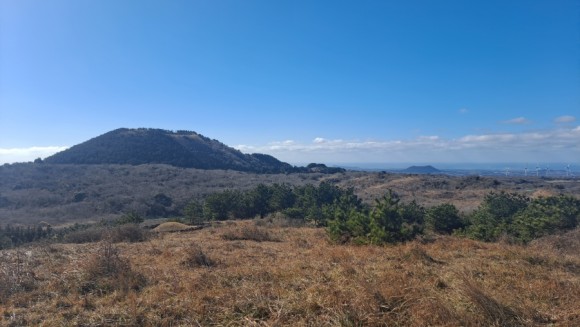 정물 당오름, 오름 그리고 금악오름 37