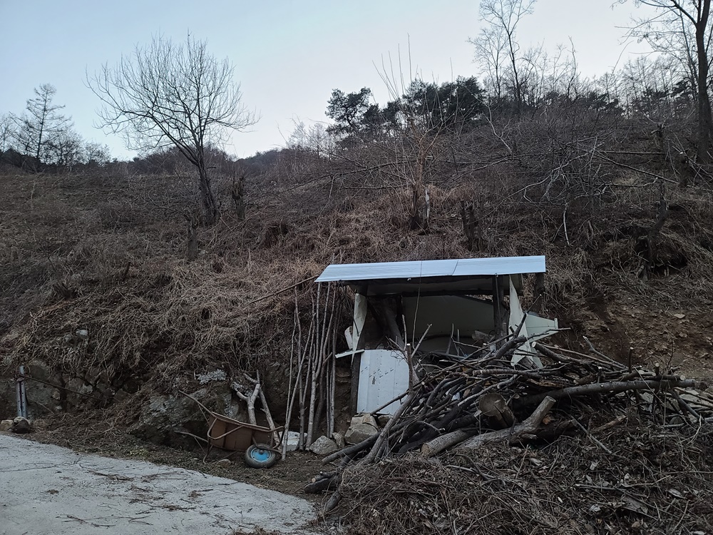 소백산장군봉-소백산여행-풍기여행